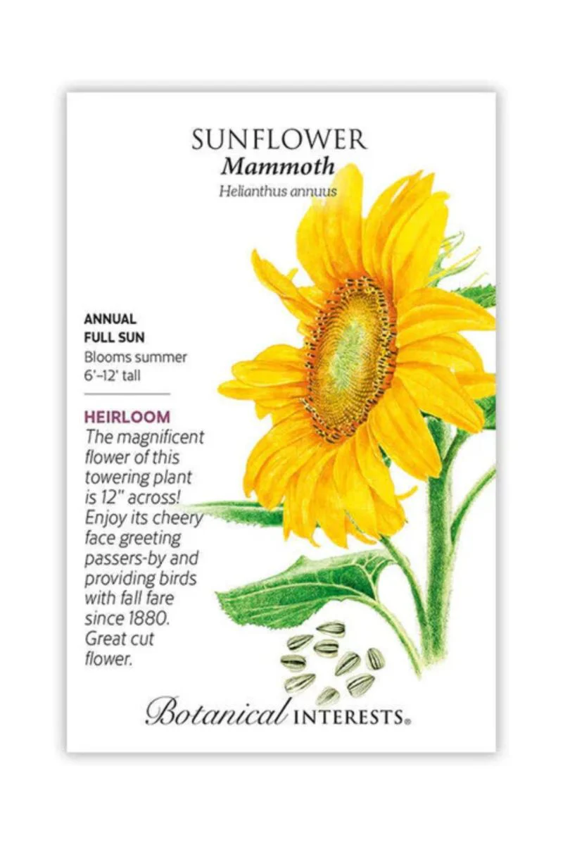 Botanical Interests Mammoth Sunflower Seeds