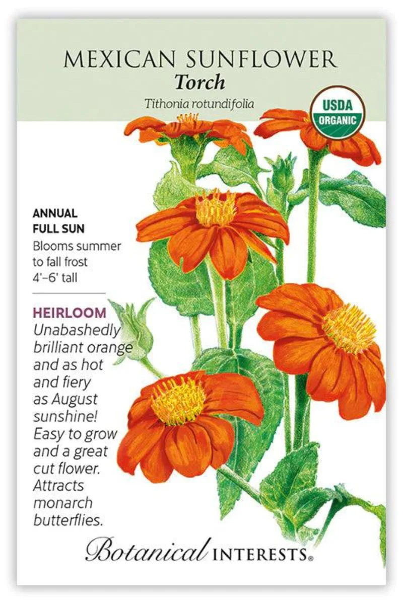 Botanical Interests Torch Mexican Sunflower Organic Seeds - Image 2