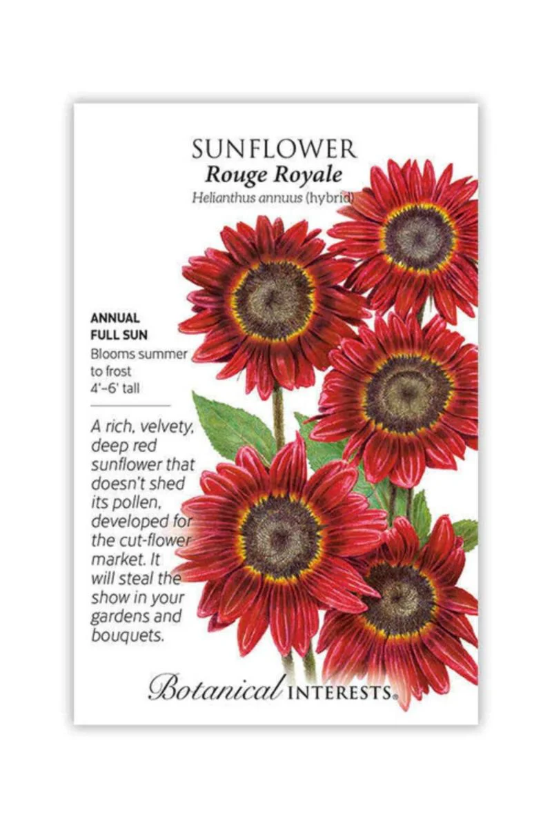Botanical Interests Rouge Royale Sunflower Seeds