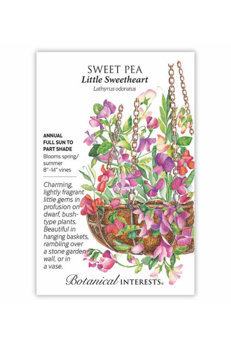Botanical Interests Little Sweetheart Sweet Pea Seeds