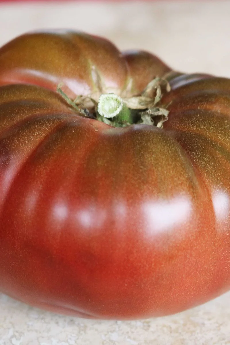Seed Savers Cherokee Purple Organic Tomato