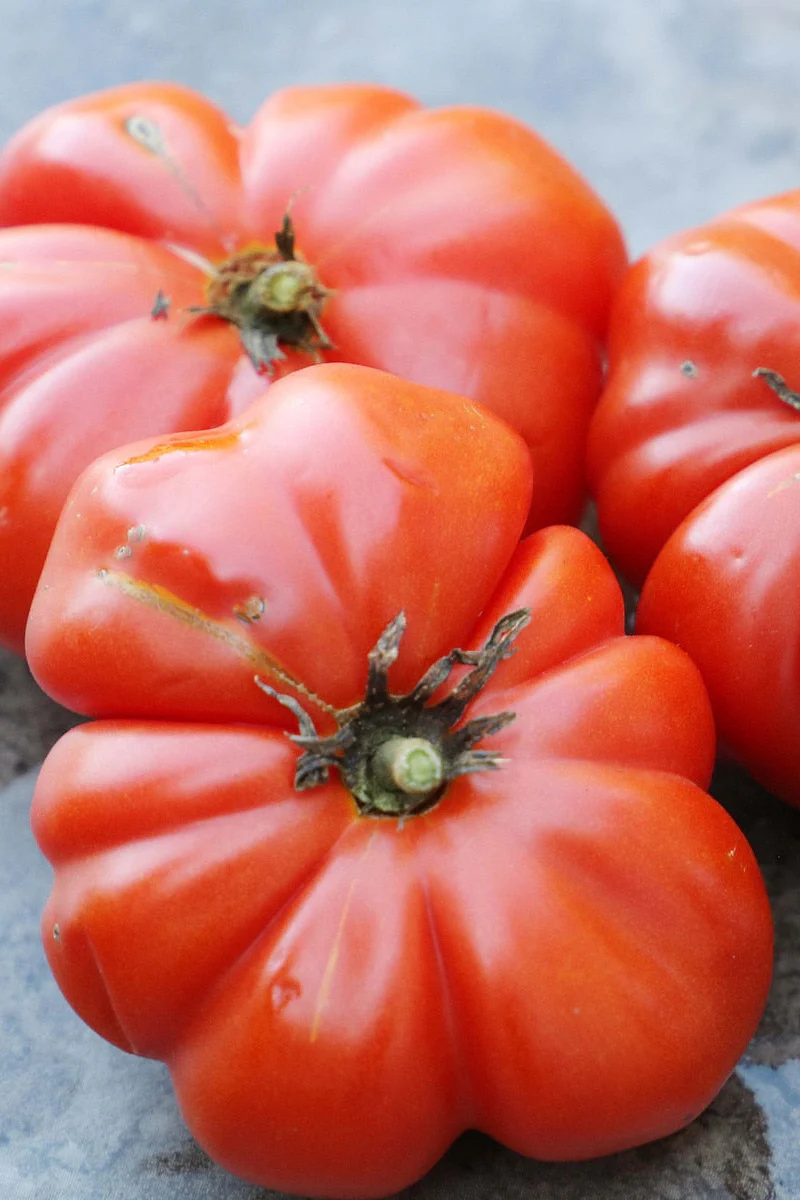 Seed Savers Rosso Sicilian Organic Tomato