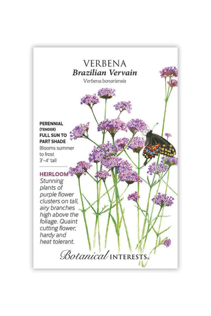 Botanical Interests Brazilian Vervain Verbena Seeds