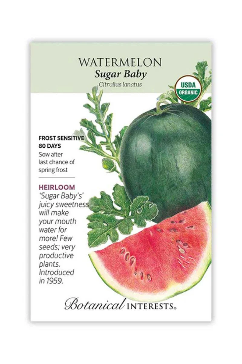 Botanical Interests Sugar Baby Watermelon Organic Seeds