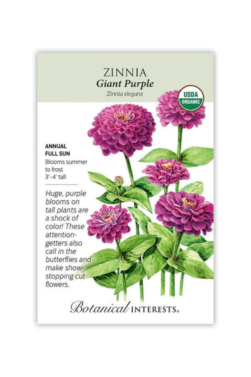 Botanical Interests Giant Purple Zinnia Organic Seeds