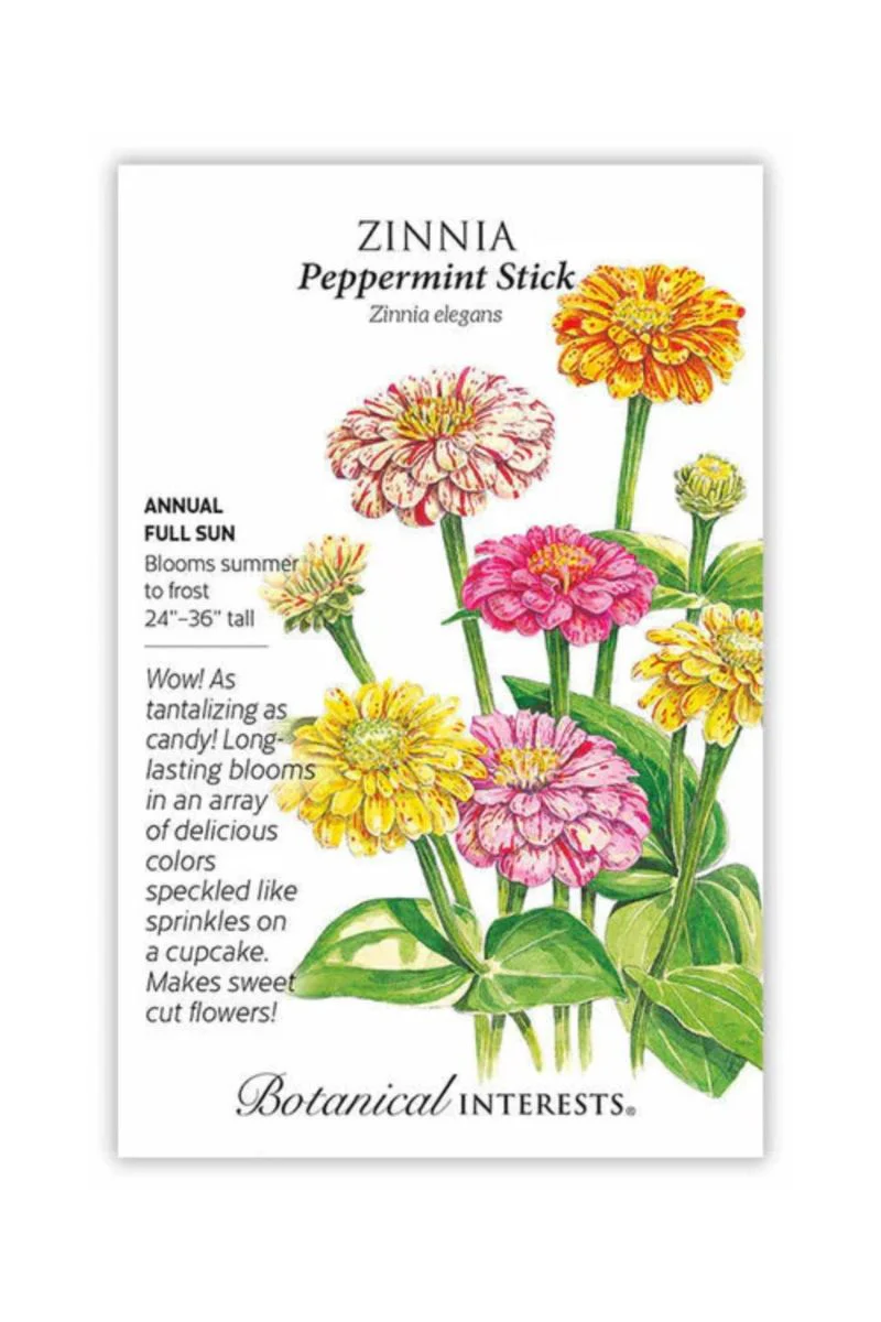 Botanical Interests Peppermint Stick Zinnia Seeds