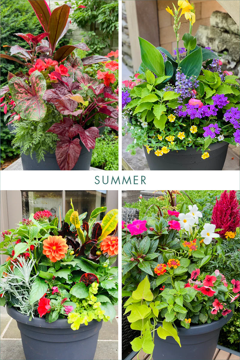 Signature Arrangement Subscription | Outdoor - Image 3