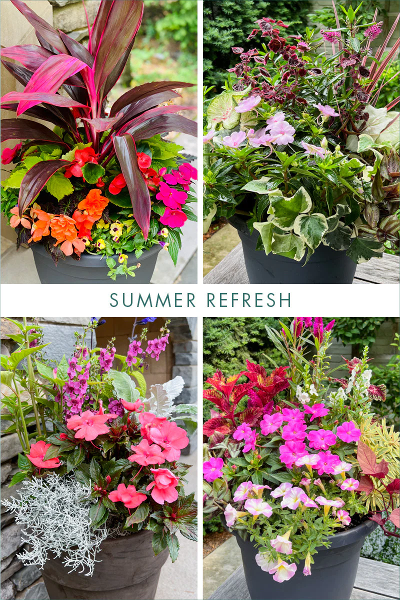 Signature Arrangement Subscription | Outdoor - Image 4