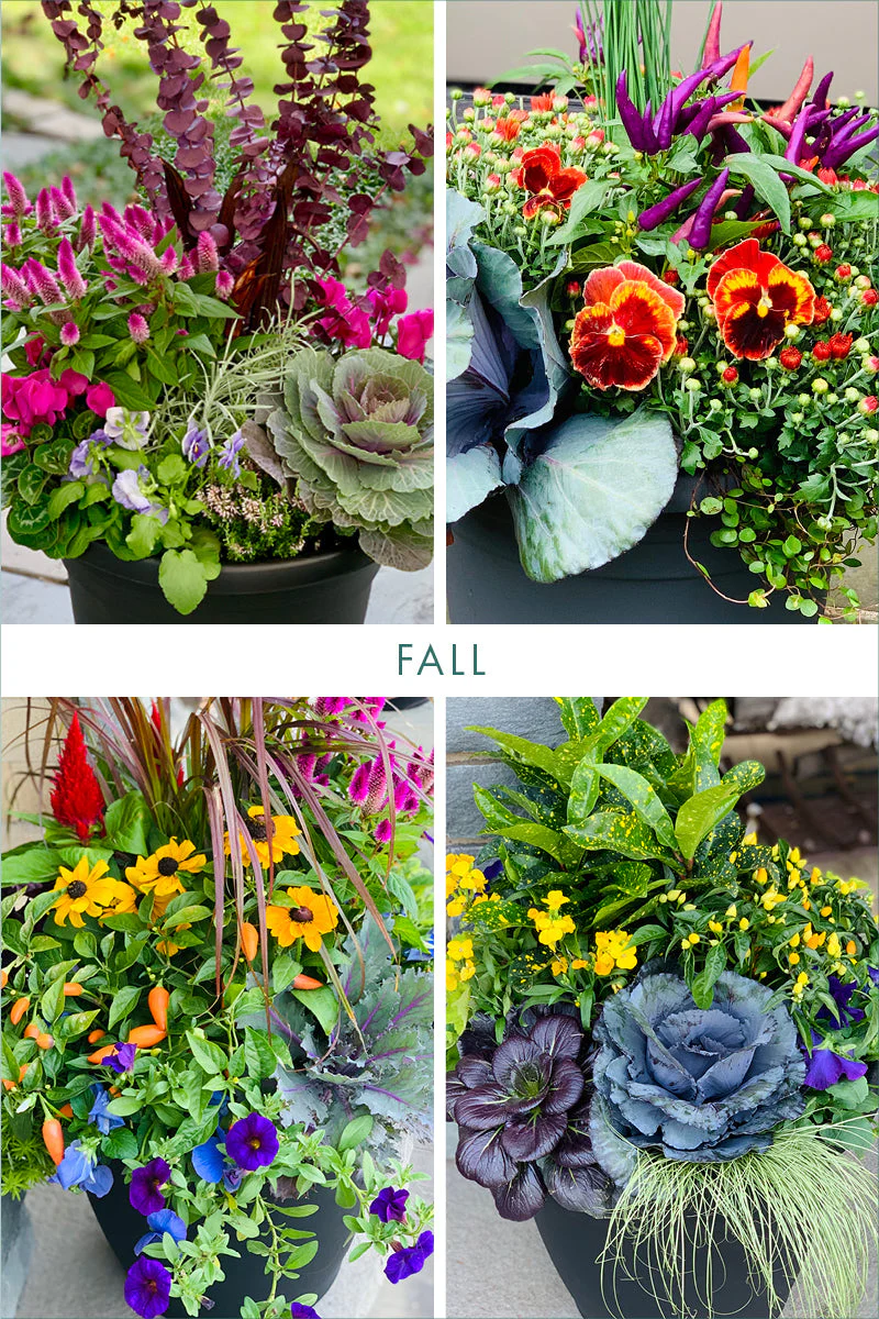 Signature Arrangement Subscription | Outdoor - Image 5