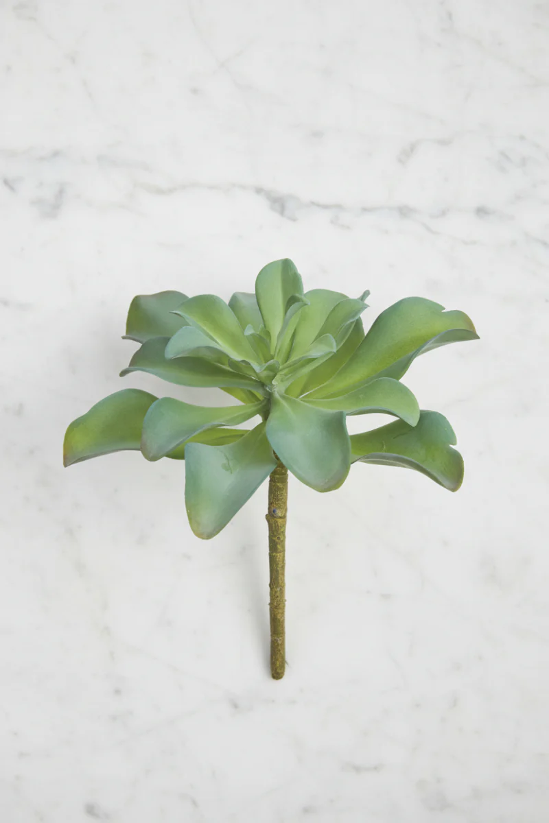 Faux Kalanchoe Plant 7" Green & Gray