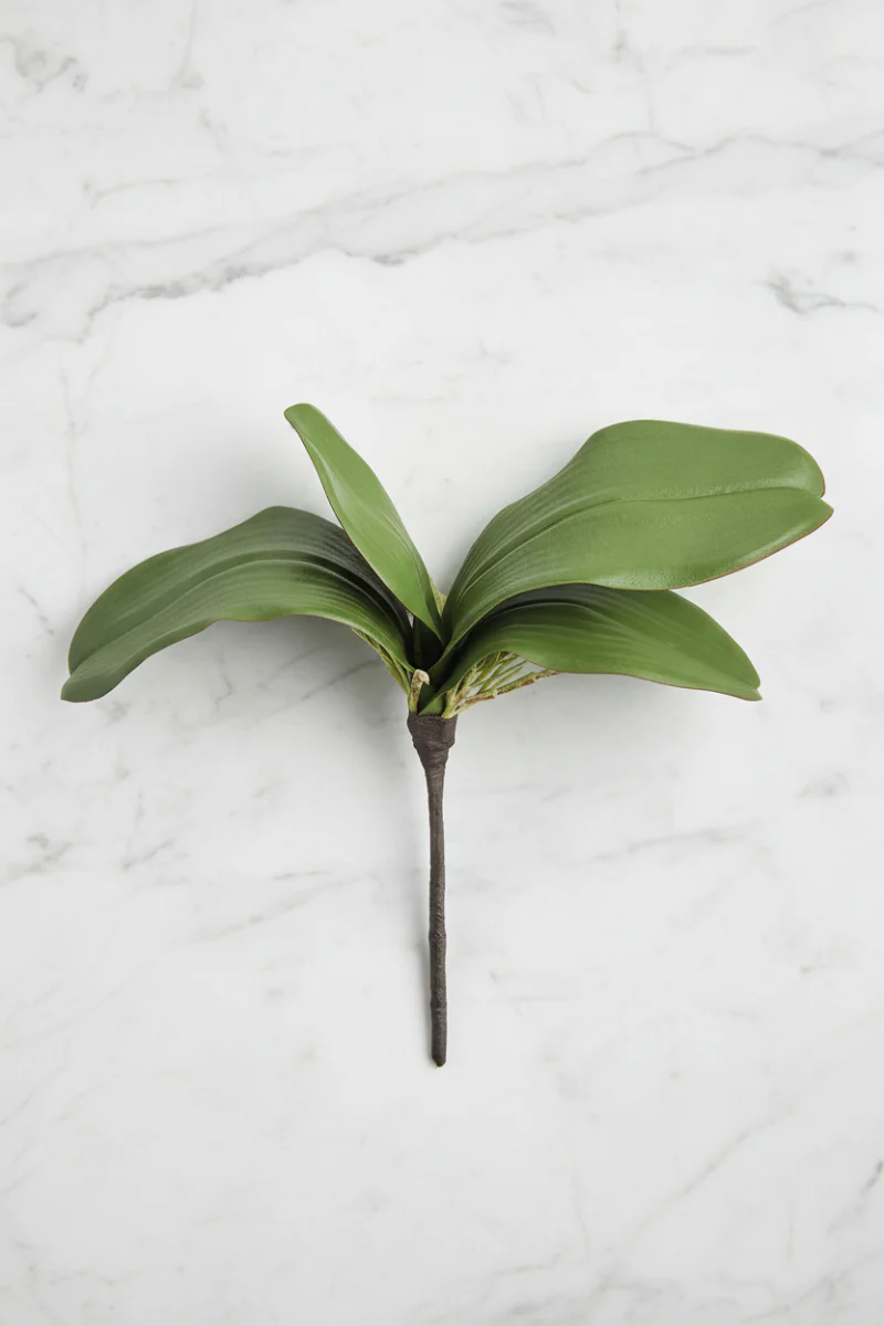 Faux Phalaenopsis Leaf Plant 10" Green