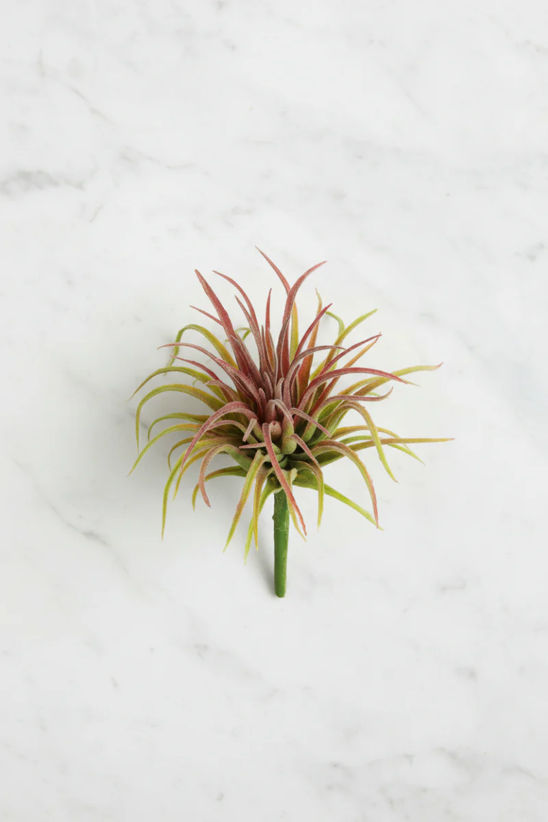Faux Tillandsia Pick 6" Green & Red