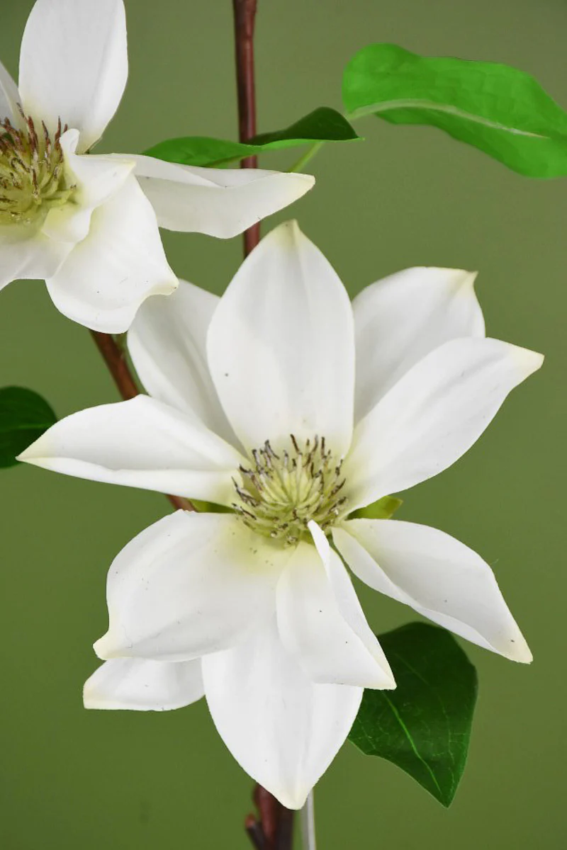 Faux Natural Touch Clematis Spray 36" White