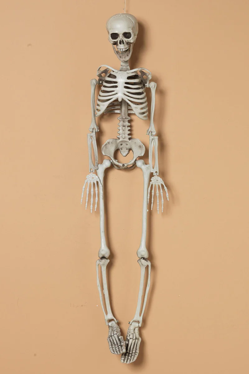 Hanging Plastic Skeleton 36.3"
