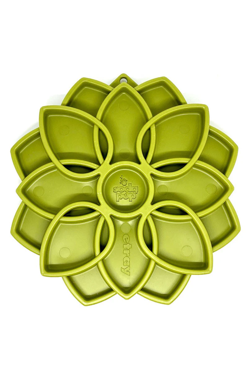 SodaPup Mandala Feeder Green