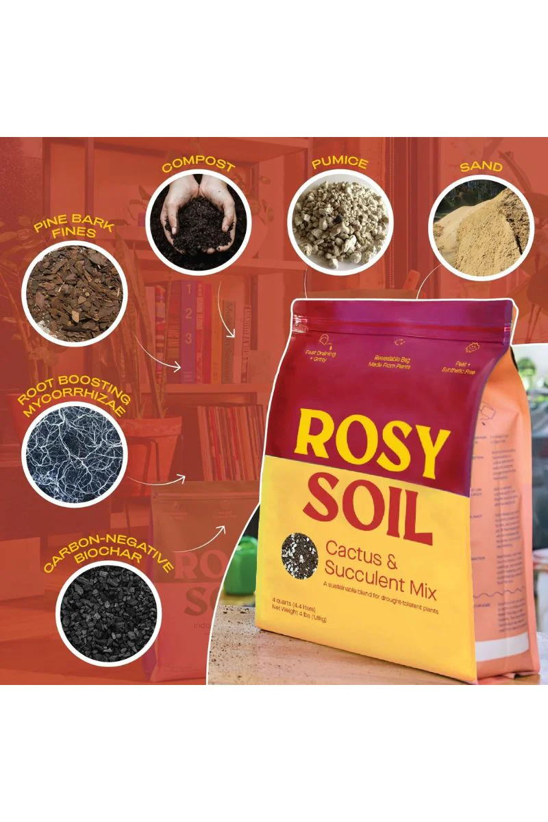 Rosy Soil Organic Cactus & Succulent Mix 4 qt - Image 2
