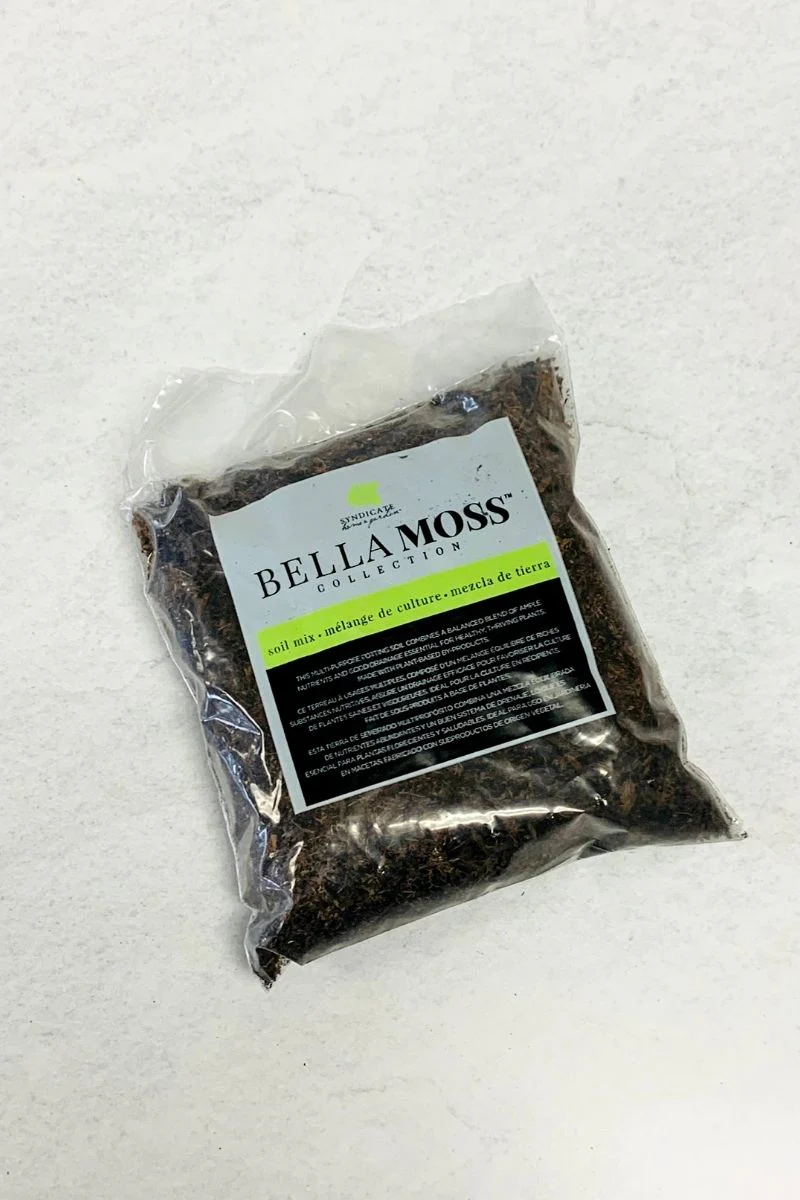 Terrarium Potting Soil Quart
