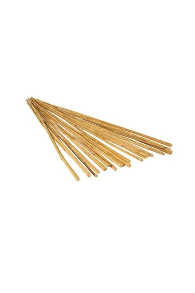 Green Bamboo Stake 8'