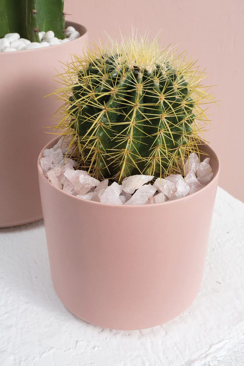 Rose Quartz Pebbles 37 oz - Image 2