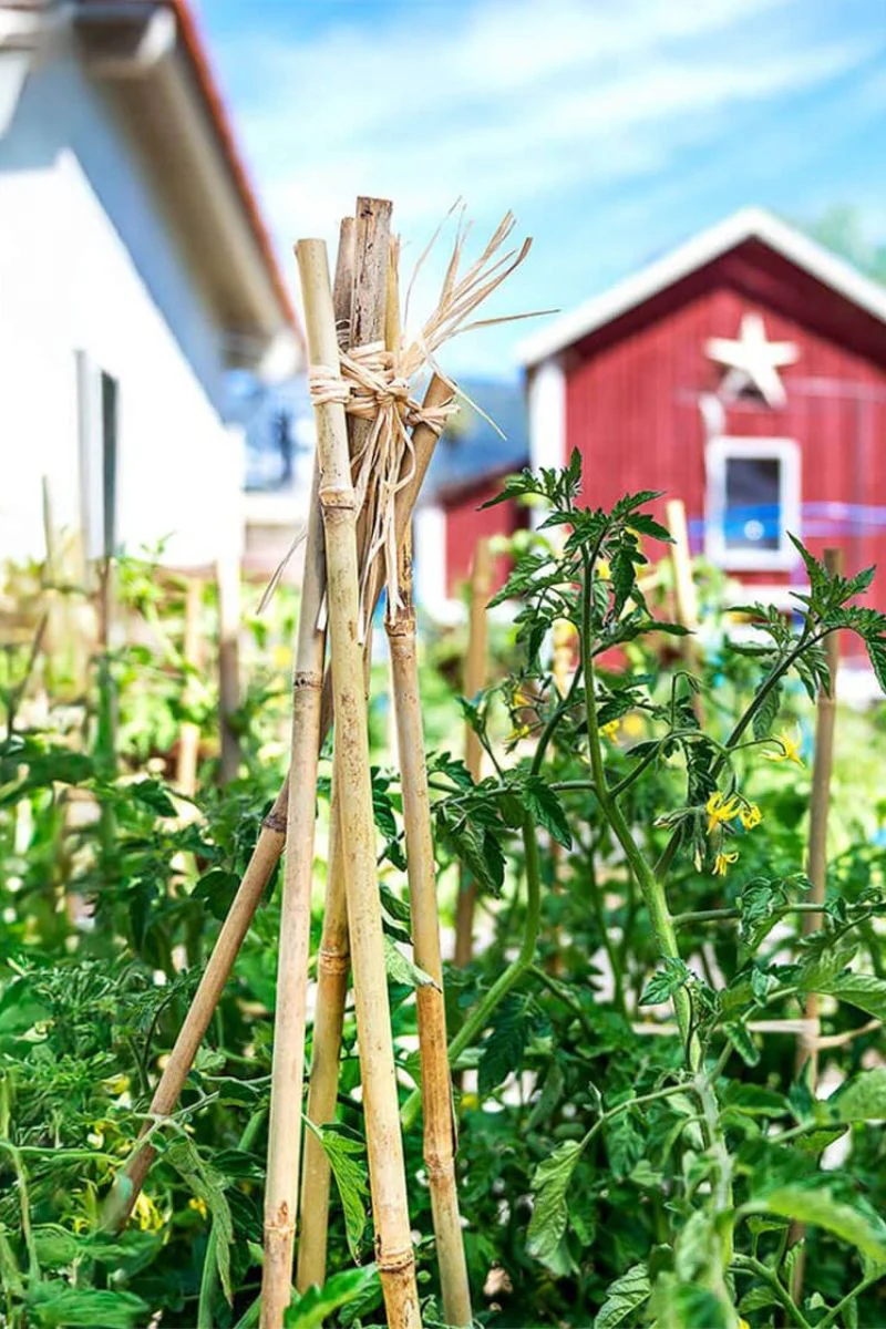 SuperMoss Bamboo Plant Stakes 18" 6 Pack