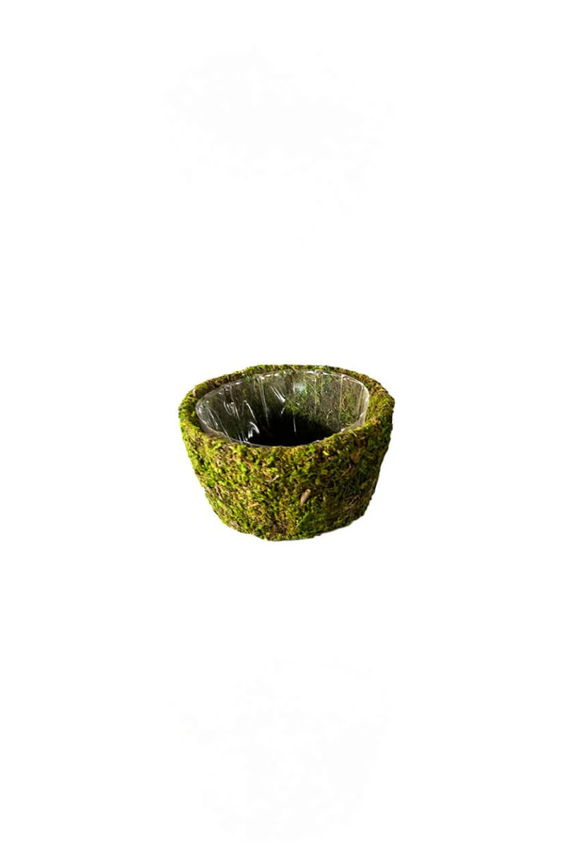 SuperMoss Roseville Deco Basket Small
