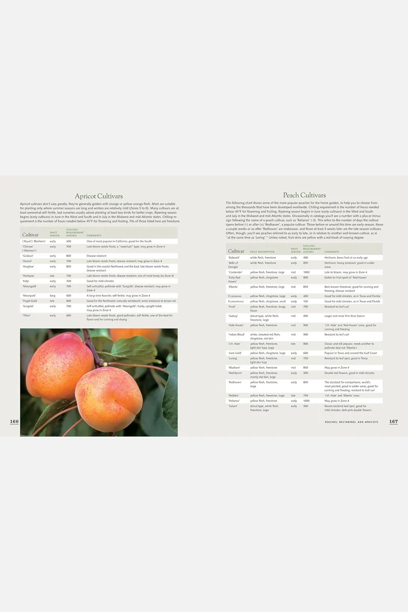 The Fruit Gardener's Bible: A Complete Guide to Growing Fruits and Nuts in the Home Garden Paperback - Image 2