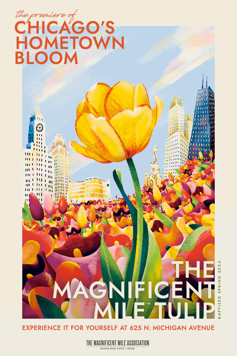 The Magnificent Mile™ Tulip Bulbs - Gift Box of 20 - Image 3