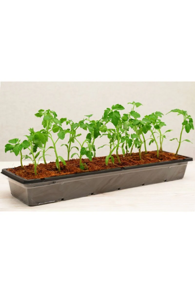 PlantBest Coconut Coir Pot Greenhouse Kit 16 Pots - Image 3