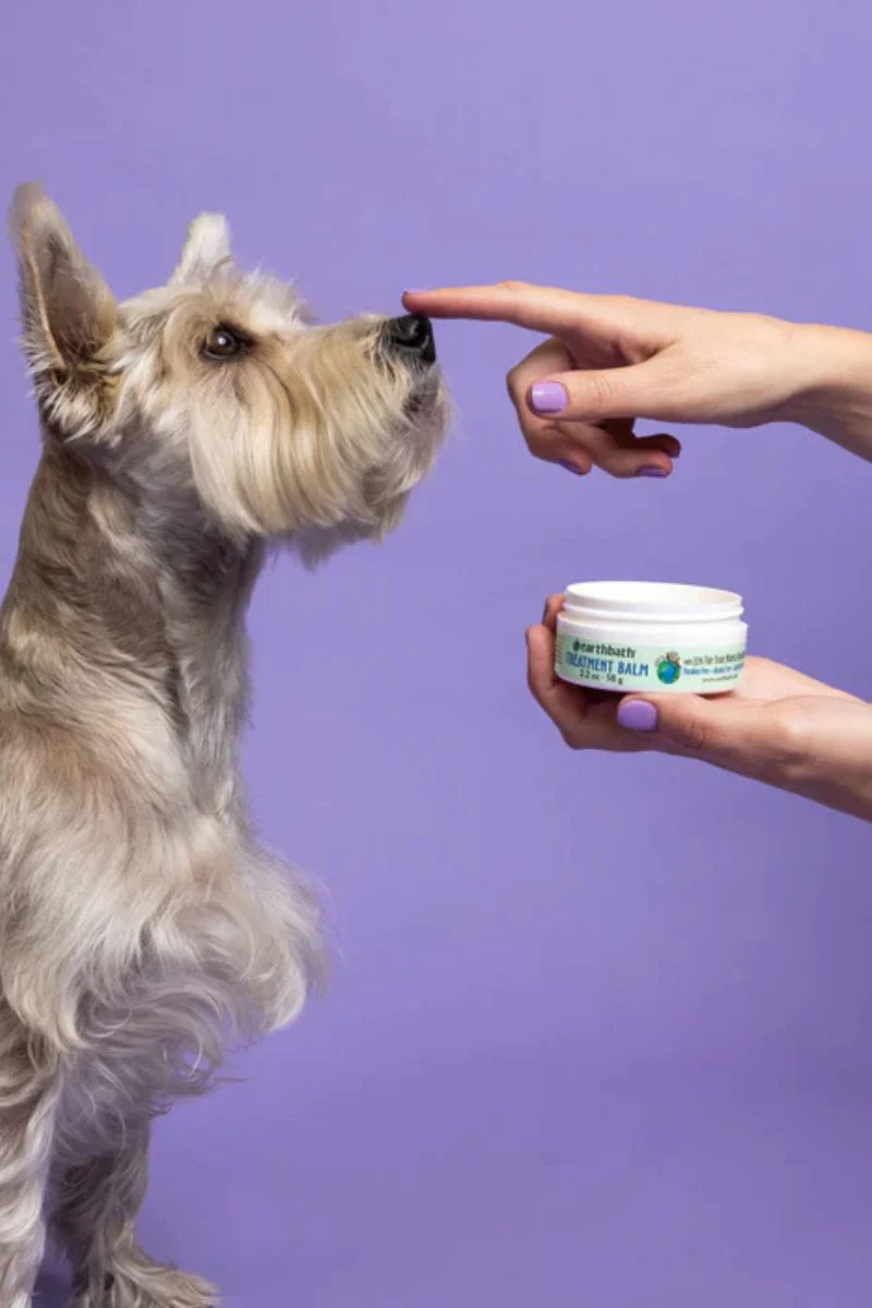 Earthbath Treatmant Balm for Cracked Paws, Noses & Hot Spots 2.2 oz - Image 3