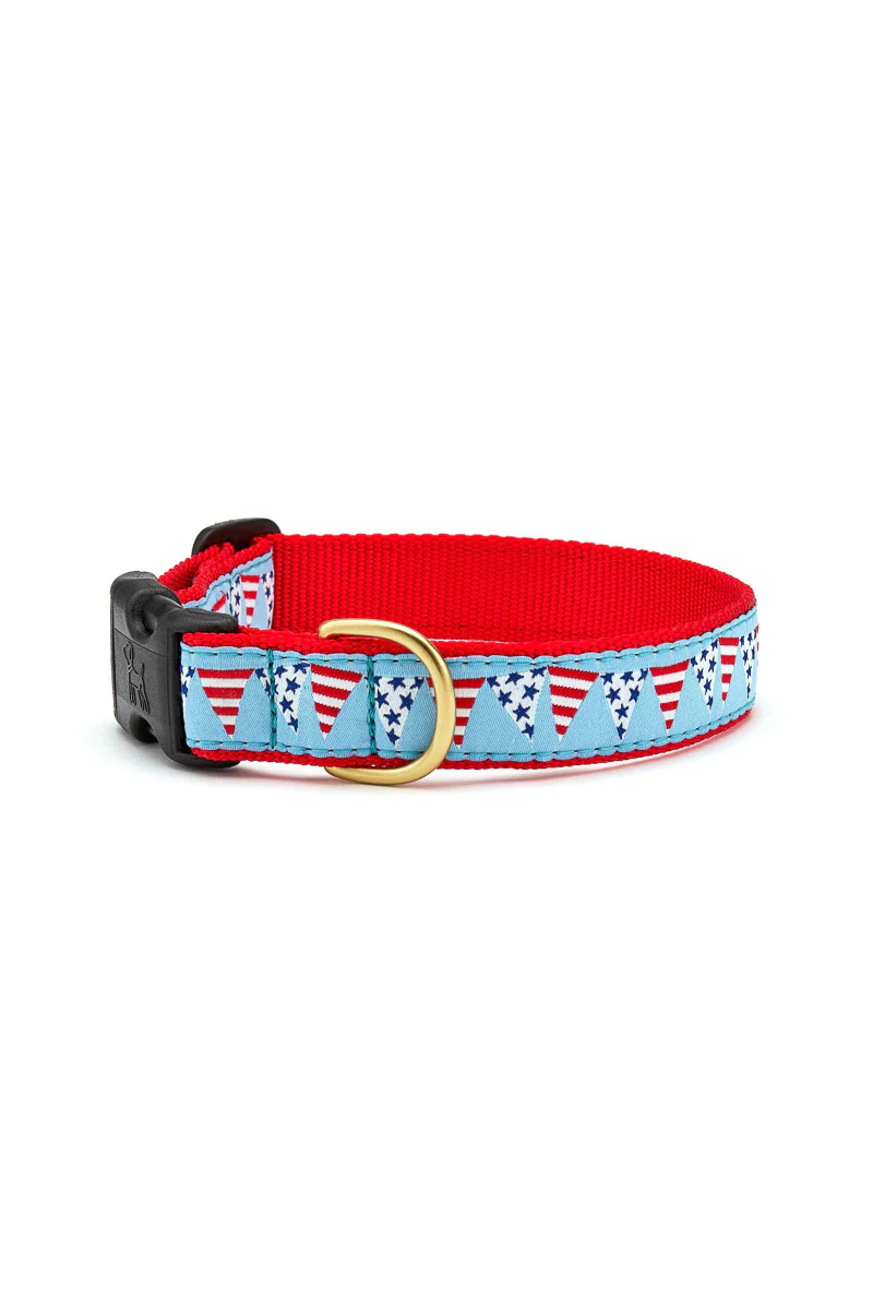 Up Country Party in the USA Collar Medium Wide - Image 2