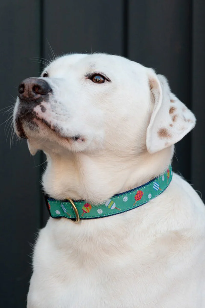 Up Country Pickleball Collar Extra Large