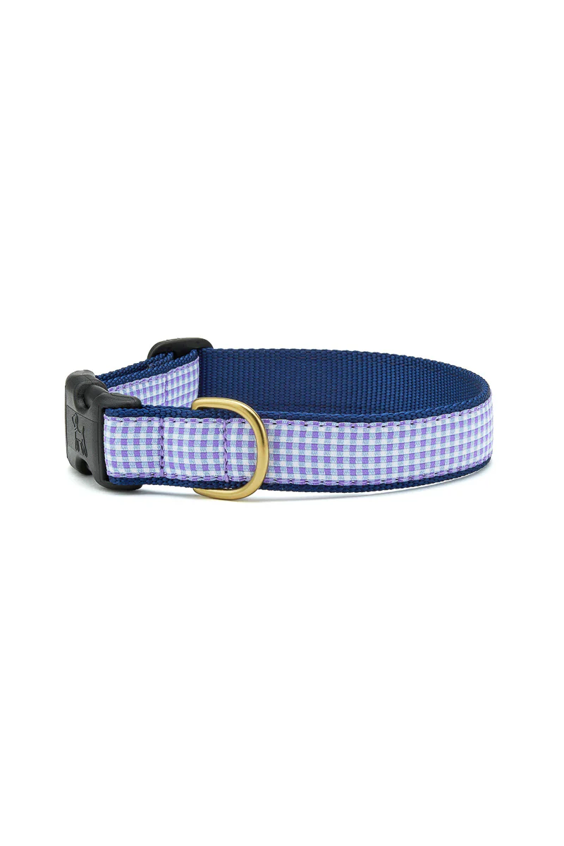 Up Country Purple Gingham Collar Medium Wide - Image 2