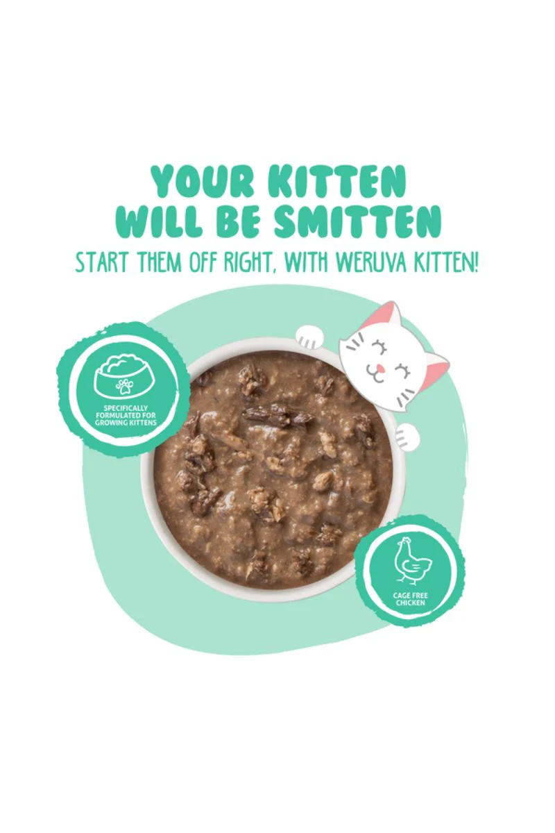 Weruva Kitten Chicken & Tuna Gravy Canned Cat Food 3 oz - Image 2