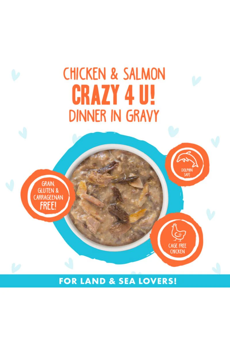 Weruva BFF OMG Crazy 4 U Chicken/Salmon 2.8 oz - Image 2