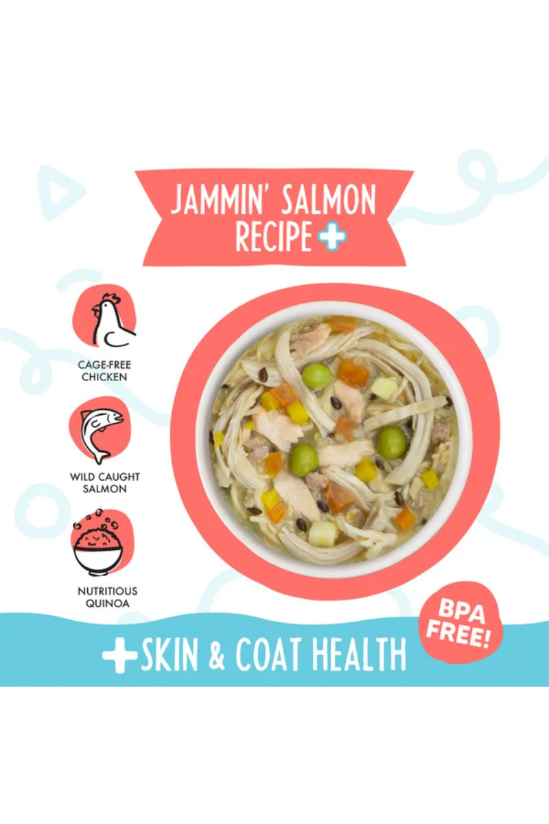 Weruva Meals 'n More MNM Jammin Salmon Recipe Plus Cup 3.5 oz - Image 2