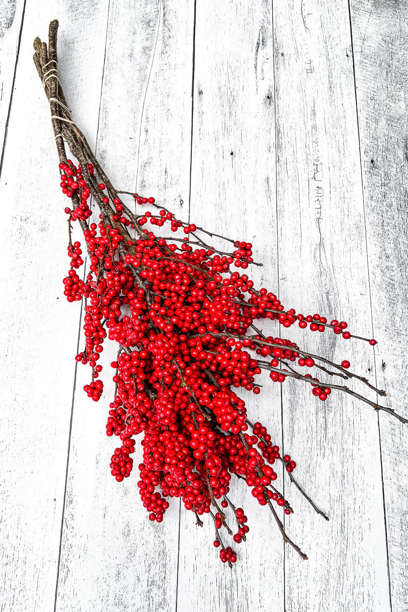 Winterberry, Premium Small 20"-24" - Image 2
