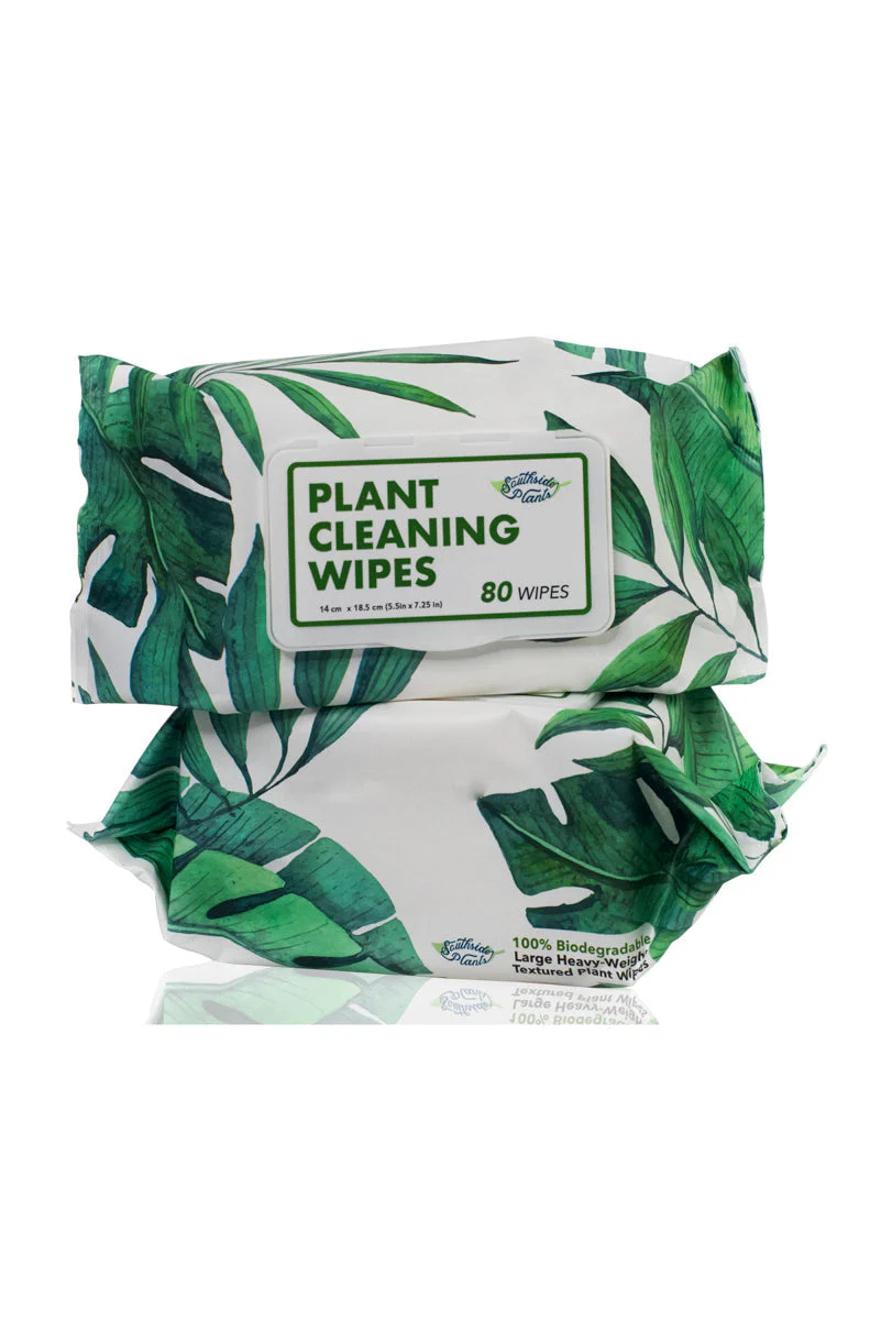 Southside Plants Houseplant Cleaning Wipes - Image 2