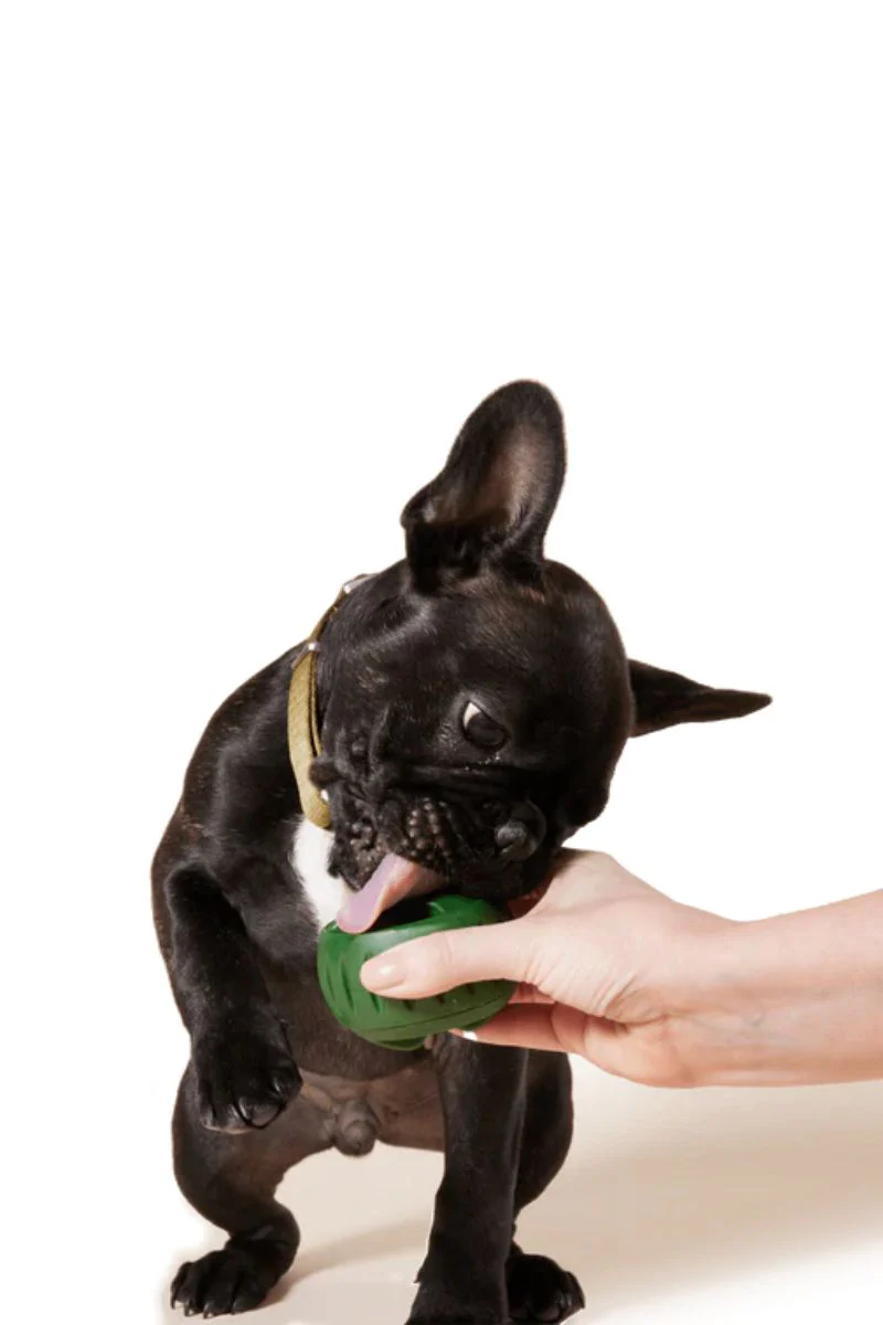 Woof Pupsicle Treat Tray Large - Image 2